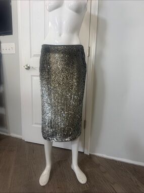 Express Sequin skirt sz 6